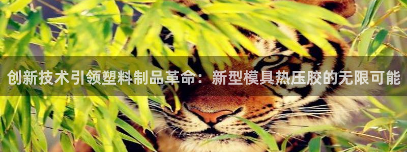 易倍网络技术有限公司：创新技术引领塑料制品革命：新型模具