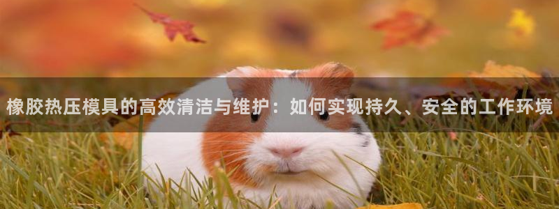 易倍emc网址:橡胶热压模具的高效清洁与维护:如何实现持