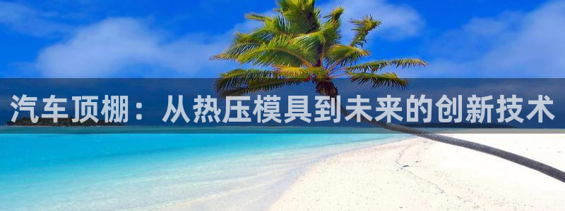 emc服务器是干啥的:汽车顶棚:从热压模具到未来的创新技