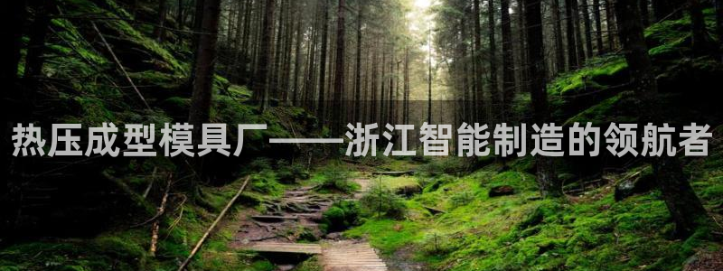 emc易倍电竞：热压成型模具厂——浙江智能制造的领航者