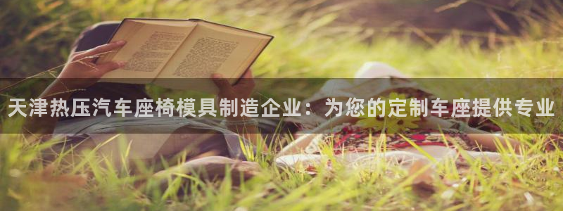 易倍网络技术有限公司官网：天津热压汽车座椅模具制造企业：