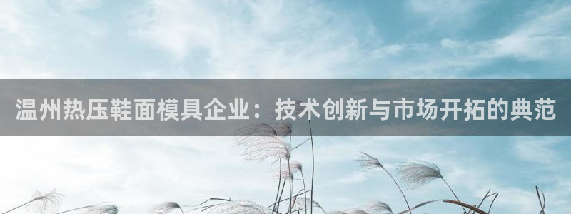 上海易倍投资有限公司