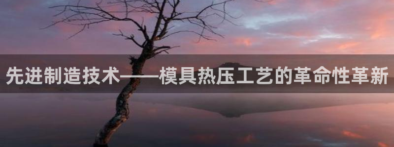 易倍单词官方网站下载：先进制造技术——模具热压工艺的革命