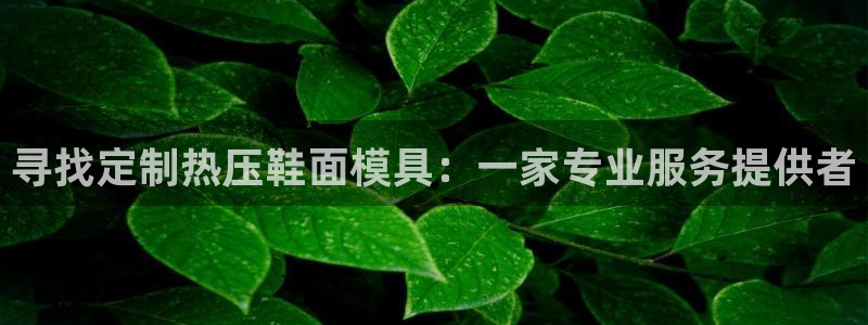 emc32软件：寻找定制热压鞋面模具：一家专业服务提供者