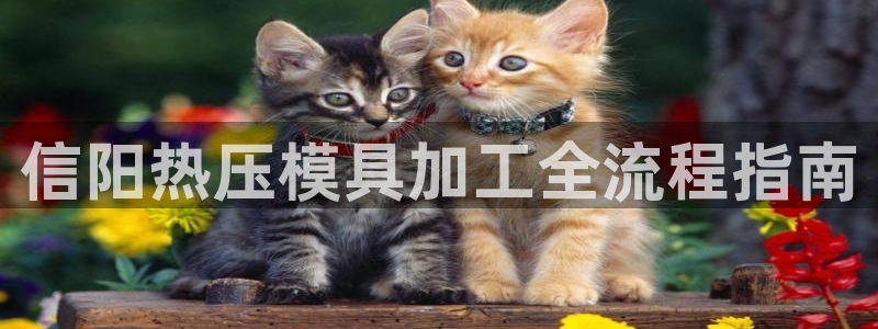 易倍纤代餐奶昔减肥效果怎么样