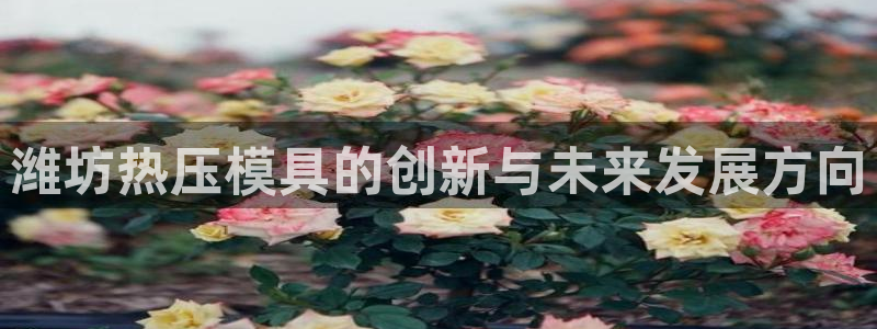 emc全站下载地址：潍坊热压模具的创新与未来发展方向