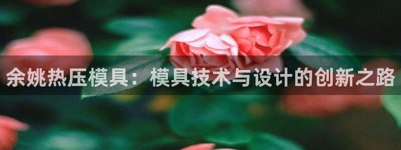 易倍申片能长期服用吗:余姚热压模具:模具技术与设计的创新