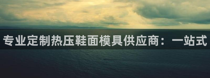 易倍单词如何下载：专业定制热压鞋面模具供应商：一站式